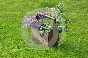 Bouquet of lilac in a wooden box