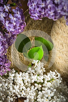Bouquet of lilacs and a straw hat, close-up