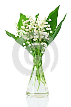Bouquet of lilies of the valley photo