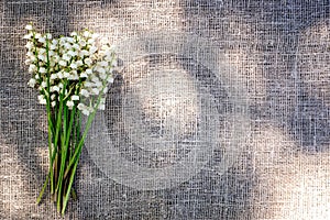 Bouquet of lilies of the valley on a canvas background