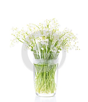 Bouquet of Lilies of the Valley isolated on white background. Selective focus