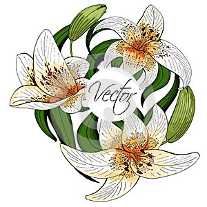 Bouquet lily tiger type realistic flowers vector clipart