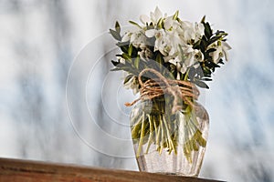 A bouquet of little fresh snowdrops in a glass vase outdoors. Bunch of flowers. Galanthus nivalis