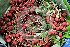 A bouquet of lychees in the garden market