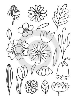 Bouquet maker - different flowers vector elements. Colored bouquet. Collection of various bright flowers isolated on a