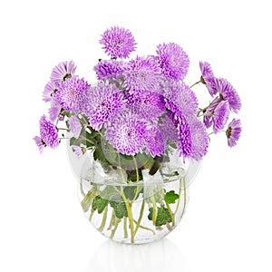 Bouquet of many beautiful chrysanthemum flowers in vase