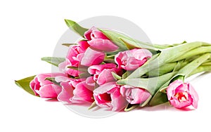 Bouquet of many pink tulips