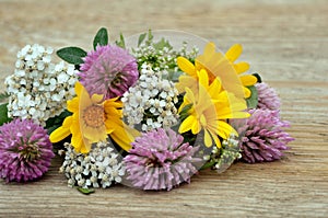 Bouquet of medicinal herbs on a wooden background close-up.