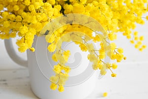 Bouquet of mimosa flowers on white wooden background. Springtime