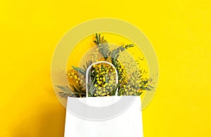 A bouquet of mimosa in a white mock up gift bag. Spring shopping, gifts and promotions for International Women`s Day. Yellow