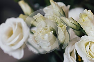 Bouquet of miniature roses. Bunch of small roses. White flowers close up. Romance concept. Gift for Valentines day