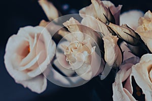 Bouquet of miniature roses, muted colours. Bunch of small roses, filtered. White flowers close up. Romance concept.