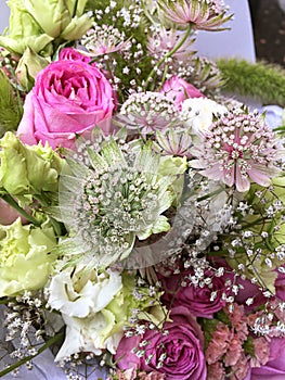 Bouquet of mixed colorful flowers. Flowers bouquet including pink roses, astrantia, white and green flowers. Beautiful bright