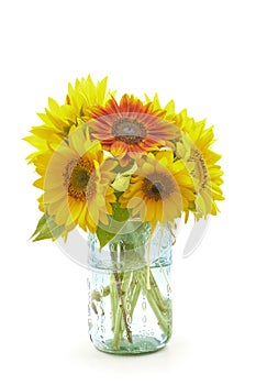 Bouquet of Multi Varieties of Sunflowers