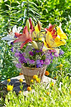 Bouquet of multicolored lily