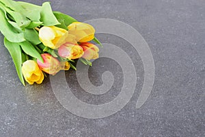 Bouquet of multicolored tulips on a grey cloth. Spring flowers. Romance