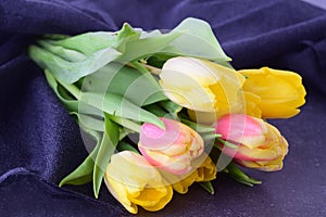 Bouquet of multicolored tulips on a grey cloth. Spring flowers. Romance