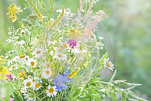 Bouquet of multicolored wildflowers