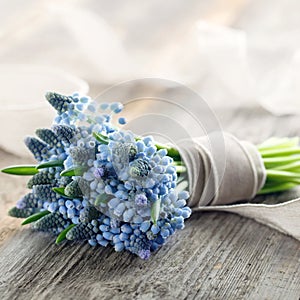 Bouquet of muscari flowers