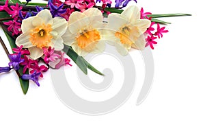 Bouquet of narcissus and pink and violet hyacinths on a white background with space for text