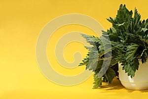 A bouquet of nettles in a bowl stands on a yellow background.