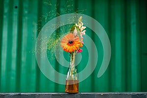 Bouquet with orange gerbera against a green background in orange water