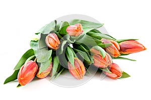 Bouquet orange tulips