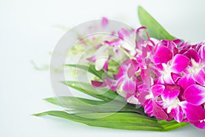 Bouquet of orchid flower and pandan leaves for pray respect to Buddha