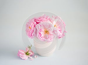 Bouquet of pale pink Roses in white ceramic vase against of light grey background. Tea Roses. Shallow depth of field. Selectiv