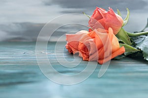 Bouquet of peach-colored tea roses