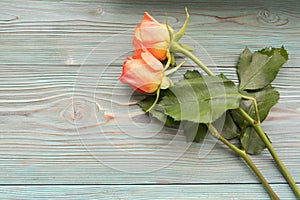 Bouquet of peach-colored tea roses