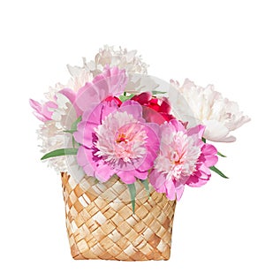 Bouquet of peonies in the basket isolated.