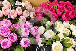 Bouquet of peonies for sale