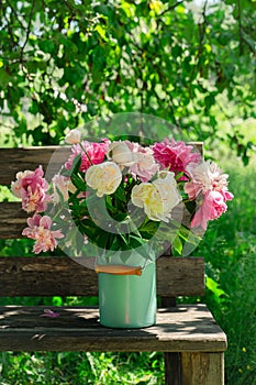 Bouquet of peony flowers in milk can on wooden garden bench