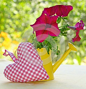 Bouquet of petunia in a watering-can