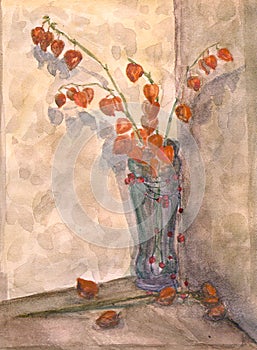 Bouquet of physalis in a blue vase. Watercolor painting