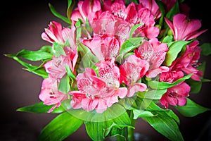 Bouquet of pink alstromeria