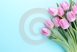 Bouquet of pink beautiful tulips flowers on pastel blue background