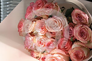 Bouquet of pink-beige rose flowers for celebrations