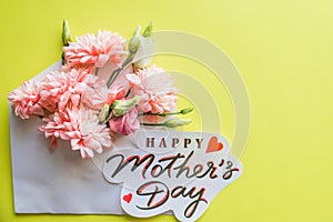 Bouquet of pink chrysanthemums on yellow background.Pink chrysanthemum flowers.Happy Mother`s Day Pastel Candy Colors