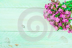 Bouquet of pink flowers on green background