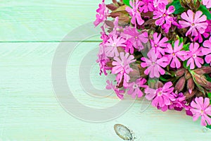 Bouquet of pink flowers on green background