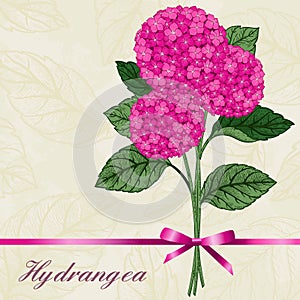 Bouquet of pink hydrangeas.