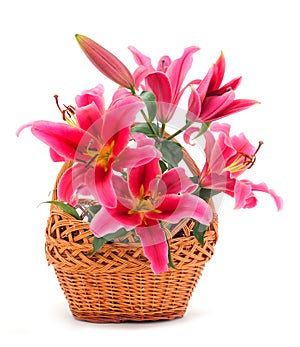 Bouquet of pink lilies in a gift basket