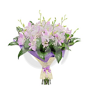 Bouquet of pink orchids, isolated