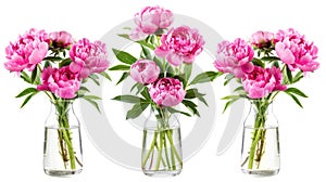 a bouquet of pink peonies arranged in a glass vase, isolated against a pristine white background, offering various