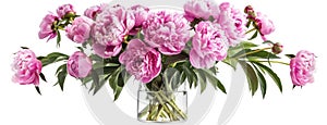 a bouquet of pink peonies arranged in a glass vase, isolated against a pristine white background, offering various