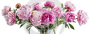 a bouquet of pink peonies arranged in a glass vase, isolated against a pristine white background, offering various