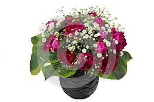 Bouquet of pink peonies and sorrel in a vase photo