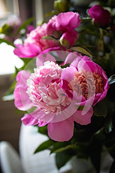 bouquet of pink peonies in a vase on the table